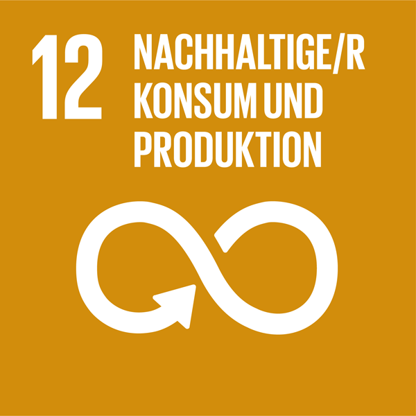 Weiße Schrift auf mattorangenem Hintergrund: 12 Nachhaltiger Konsum und nachhaltige Produktion, das Unendlichkeitssymbol mit Pfeilspitze