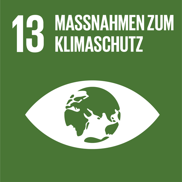 Weiße Schrift auf dunkelgrünem Hintergrund: 13 Maßnahmen zum Klimaschutz, darunter ein Piktogramm eines Auges, in dessen Pupille die Erde ist