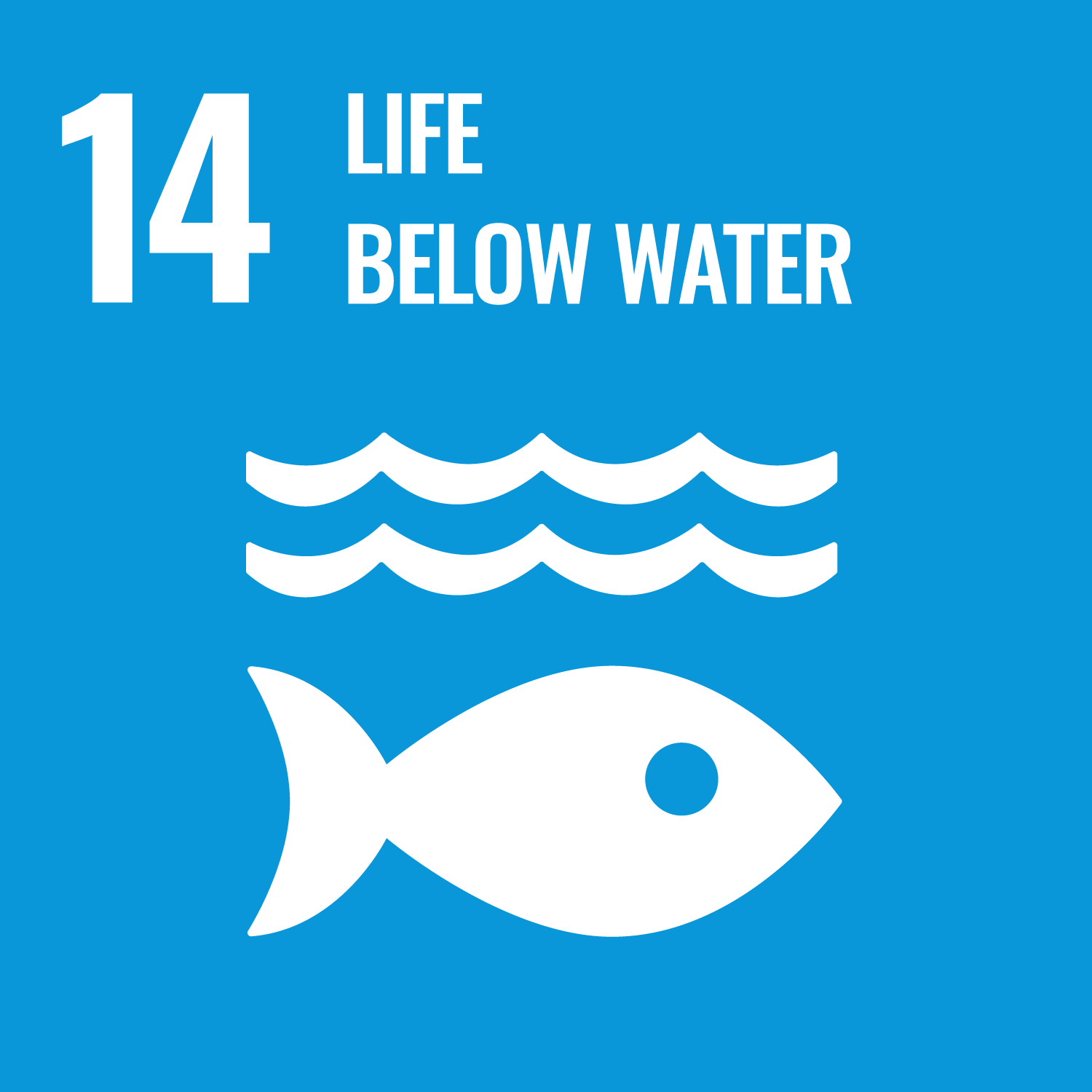 Weiße Schrift auf blauem Hintergrund: 14 Leben unter Wasser, darunter ein Piktogramm eines Fischs unter Wasser